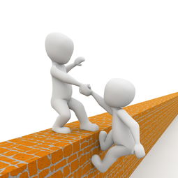 刘健，中国足球的坚韧与智慧